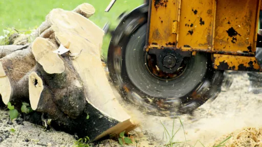 Stump Grinding Services